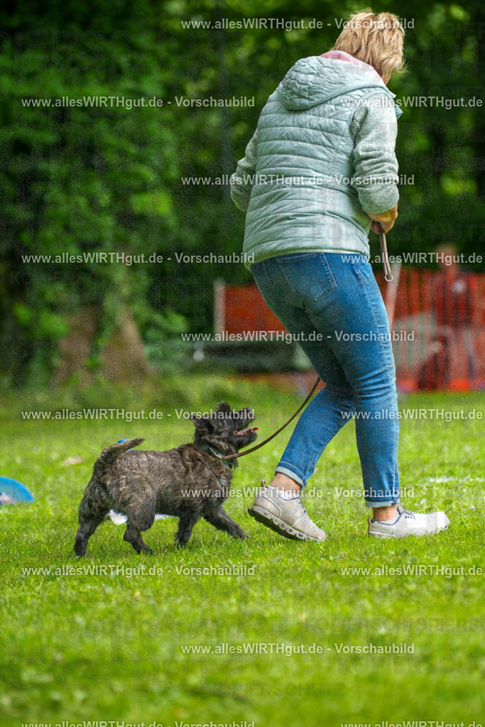 @allesWIRTHgut_Tierfotografie - www.allesWIRTHgut.de - 7R504476 | Professionelle Tierfotografie in Mönchengladbach von Daniel Wirth (allesWIRTHgut). Liebevolle & natürliche Bilder von Hunden & Katzen für unvergessliche Erinnerungen.