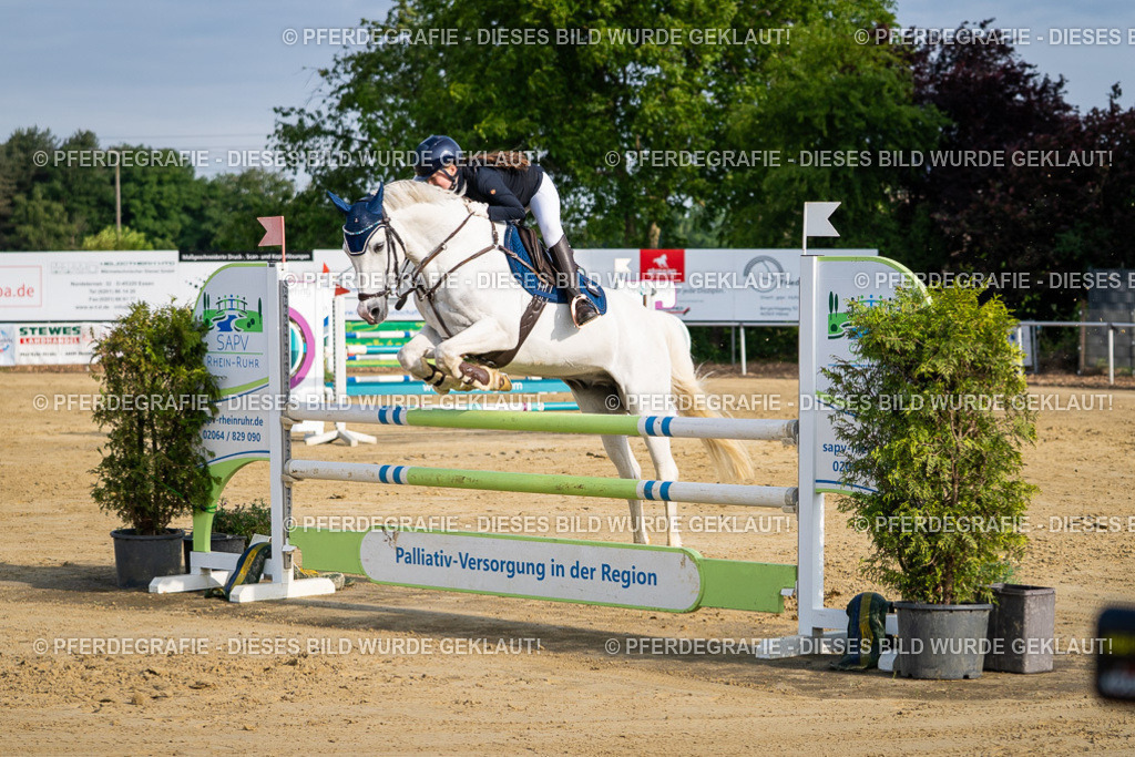 DSC02980 | Pferdegrafie