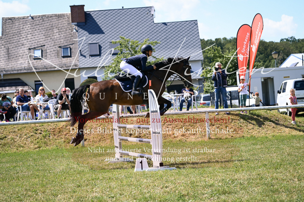 DSC_0106 | Pferde- und Turnierfotografie in Westsachsen. Pferdeportraits, Auftragszeichnungen und intuitive Kunst.