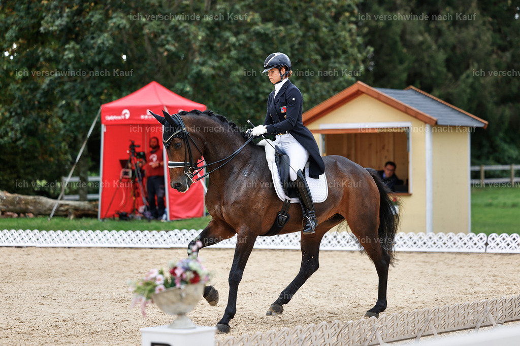 11-110-Dressur S___-StoibPH-1362 | working equitationturnier fotograf videograf stoibphotography marixx film working equitation deutschland reitsport turnierfotografie eventfotografie equestrian events