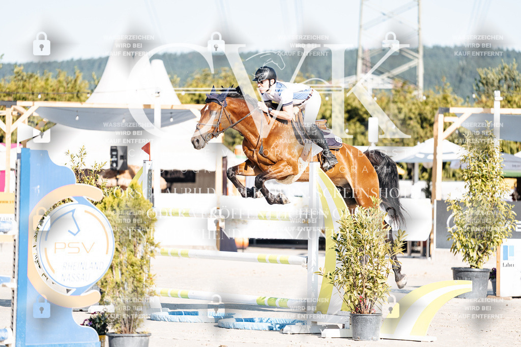 CK904171 | Turnierfotografie Pferdefotografie Trier Rheinland-Pfalz Pferdesport Reitsport Tierfotografie Sportfotografie Pferdevideo Pferdevideografie Equestrianvideography equestrianphotography  - Realisiert mit Pictrs.com