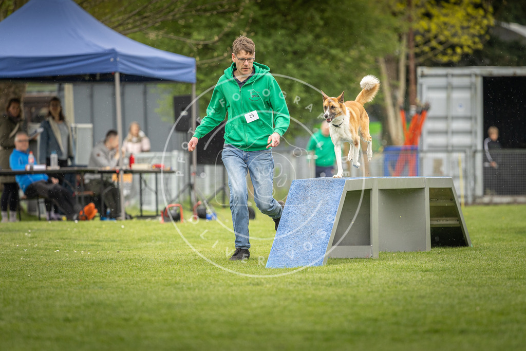 Pfotenfotografie_DV3A3304 | Hundefotografie, Tierfotograf, Pfotenfotografie, Fotoshooting Hund, Hunde Portrait, Hundesport, Hundeportraits, Heideshooting, Hunde, Sportfotograf, Hundefotograf, Turnierhundsport, THS,  - Realisiert mit Pictrs.com