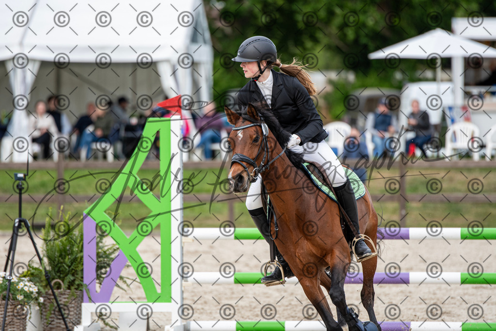 KPT_7258 | andre_photographic