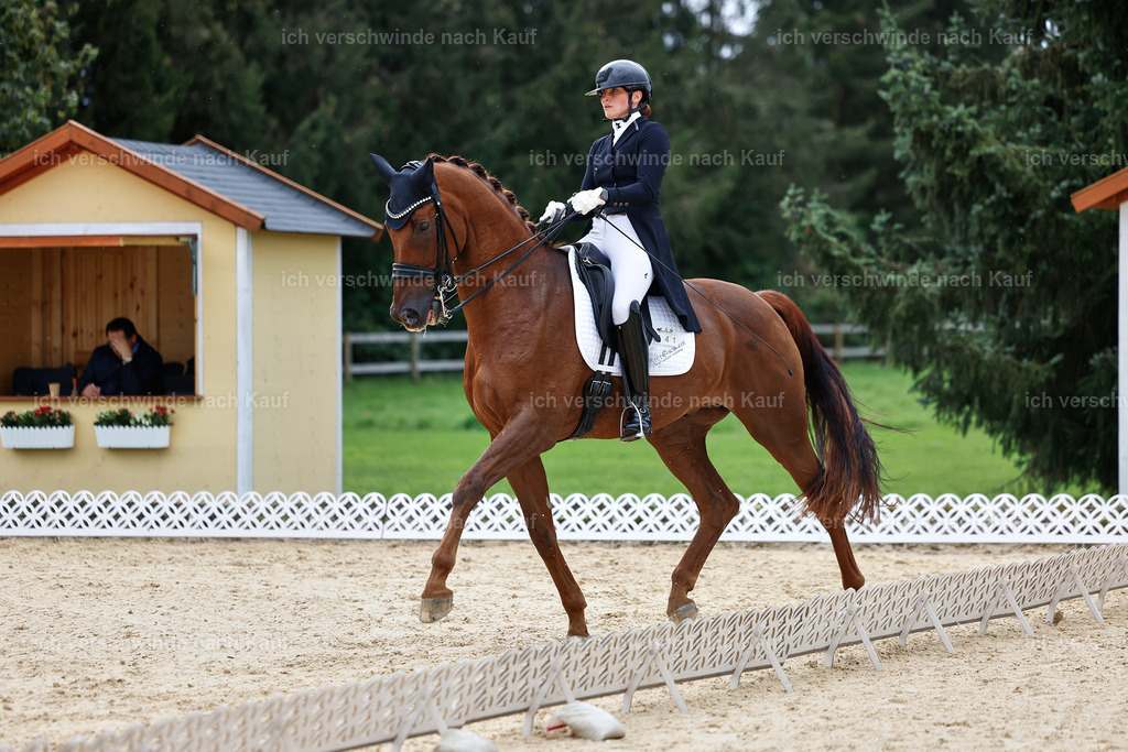 11-141-Dressur S___-Marixx-1851 | working equitationturnier fotograf videograf stoibphotography marixx film working equitation deutschland reitsport turnierfotografie eventfotografie equestrian events