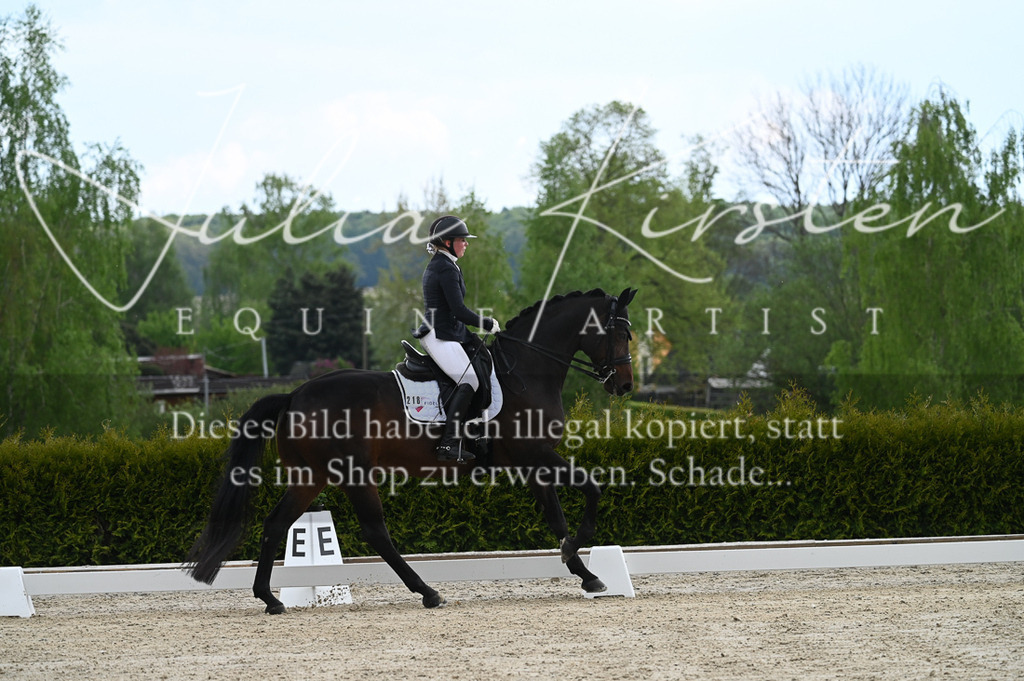 20230512_JK-Röhrsdorf-05-013 | Pferde- und Turnierfotografie in Westsachsen. Pferdeportraits, Auftragszeichnungen und intuitive Kunst.