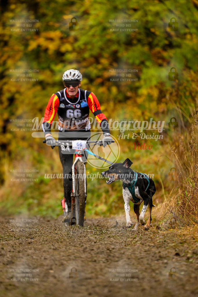 MompixPhotography_ICF_WC_2024_SA_DS_-149 | PayLife