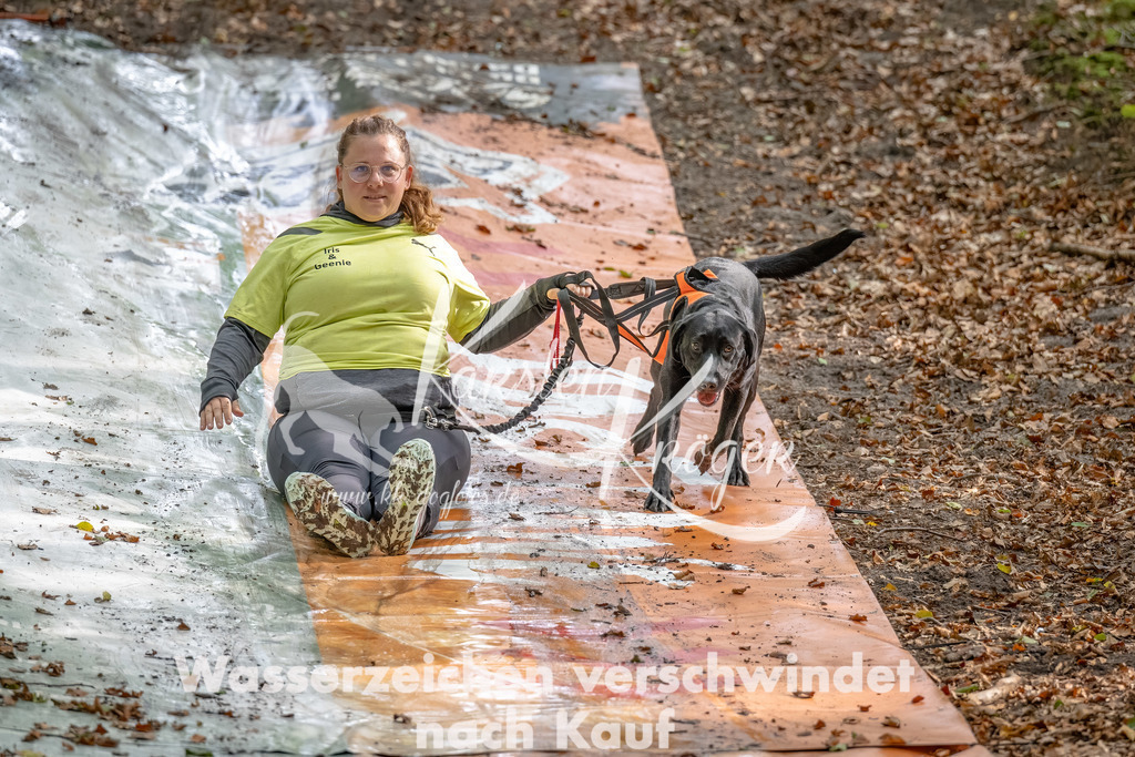 1111_ZZ90110-Bearbeitet | kk-dogfotos