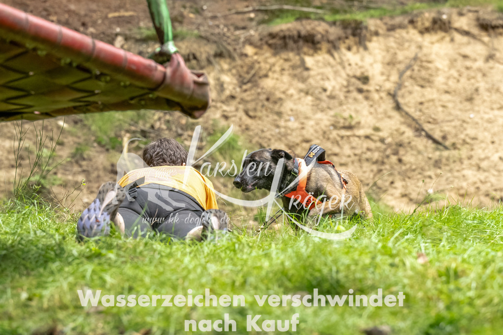 1150_ZZ90770-Bearbeitet | kk-dogfotos