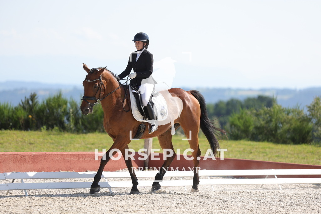 0P6A8047 | Willkommen bei Brunnmayr - Design & Fotografie – Ihrem Spezialisten für Reitturniere und Pferdeveranstaltungen in Oberösterreich, Salzburg und Bayern! Seit über 17 Jahren sind wir leidenschaftlich dabei.