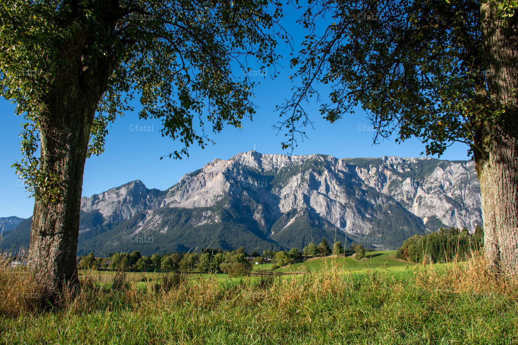 Dobr Panorama 2025 (Hohenthurn)_172553__fatzi | Fatzi Bilder-Archiv! 
Die Bilder sind für private Nutzung lizenzfrei. Die kommerzielle Nutzung ist möglich und erwünscht, jedoch bitte ich um vorherige Kontaktaufnahme per E-Mail (info@fatzi.at) oder unter +43 650 7828269 - Realisiert mit Pictrs.com