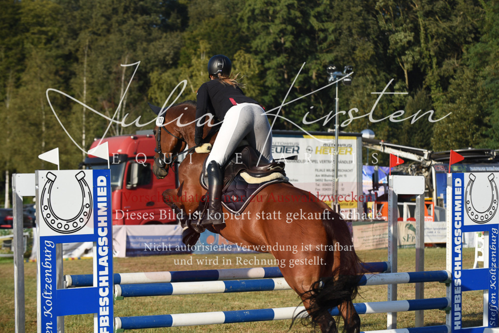 DSC_4852 | Pferde- und Turnierfotografie in Westsachsen. Pferdeportraits, Auftragszeichnungen und intuitive Kunst.
