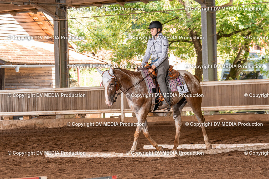 Erbach Tag 2-286 | dv-media-shop - Realisiert mit Pictrs.com