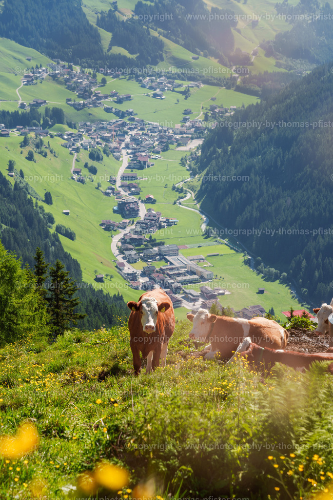 Wandern Eggalm Brandalm copyright  Thomas Pfister-6 | PHOTOGRAPHY BY THOMAS PFISTER