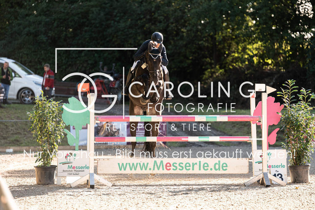 DSC04442 | Carolin Gieschke