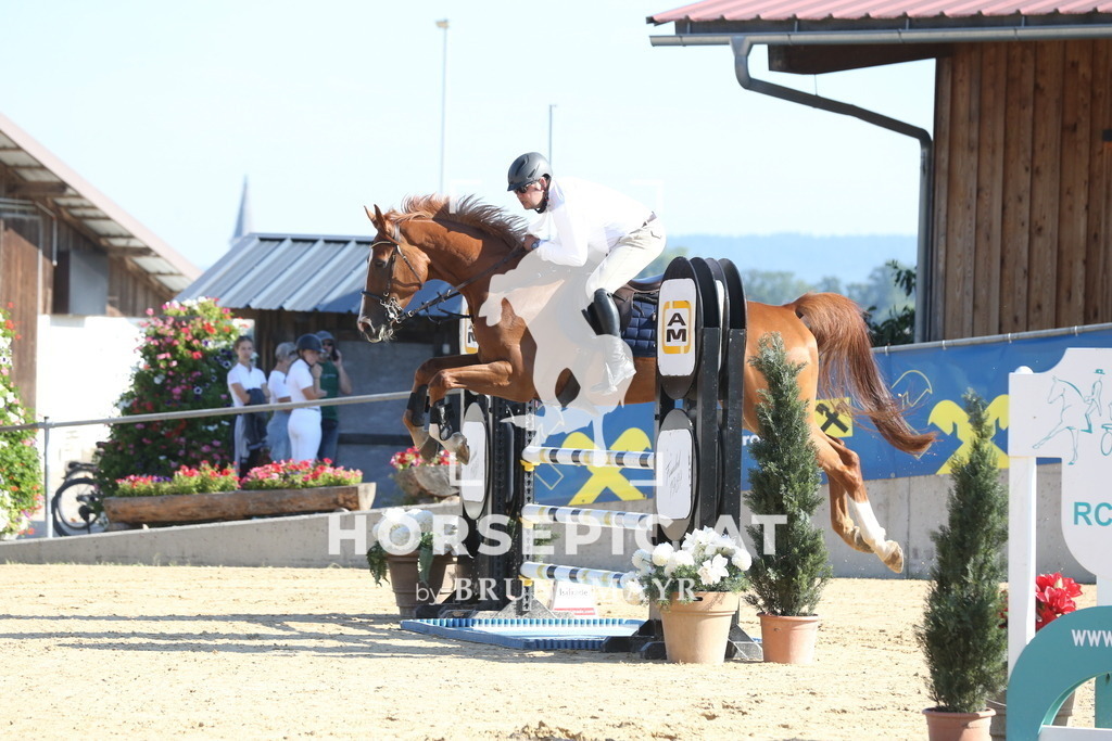 DL2Q1997 | Willkommen bei Brunnmayr - Design & Fotografie – Ihrem Spezialisten für Reitturniere und Pferdeveranstaltungen in Oberösterreich, Salzburg und Bayern! Seit über 17 Jahren sind wir leidenschaftlich dabei.