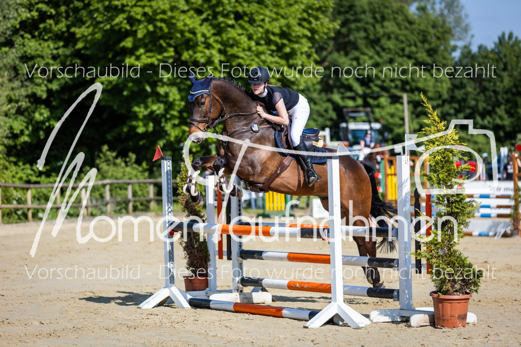 Donop24-ASpr-030 | MomenTaufnahmen Pferdesportfotos