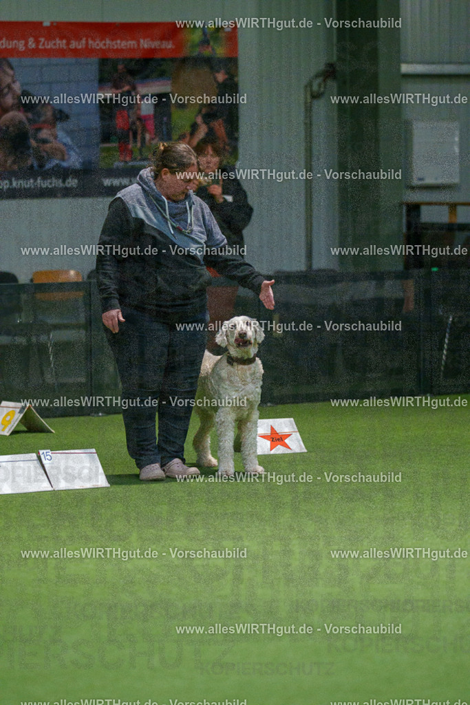 7R507539 | Professionelle Tierfotografie in Mönchengladbach von Daniel Wirth (allesWIRTHgut). Liebevolle & natürliche Bilder von Hunden & Katzen für unvergessliche Erinnerungen.