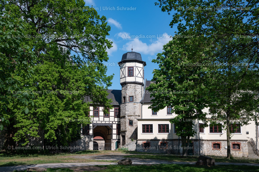 10049-13898 - Emersleben bei Halberstadt | Stockfoto und Bilderpool mit Bildmaterial aus Deutschland, dem Harz, Halberstadt, Quedlinburg, Wernigerode und weltweit. Qualitativ hochwertige und professionelle Fotos anschauen und kaufen. - Realisiert mit Pictrs.com