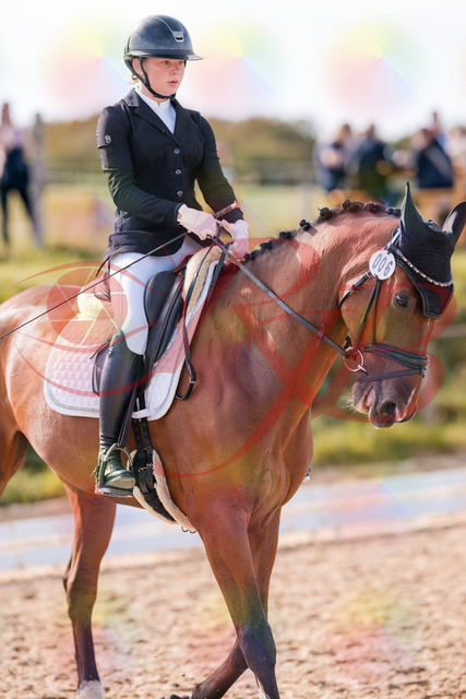2026_10_03_Siefer-Hof_131711_Z81_65828723 | Professionelle Reitsport-, Turnier- und Eventfotografie von Robert Broda. Galerien mit ausgewählten und bearbeiteten Bildern direkt online ansehen und bestellen.