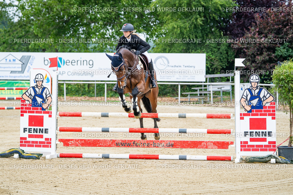 DSC03339 | Pferdegrafie