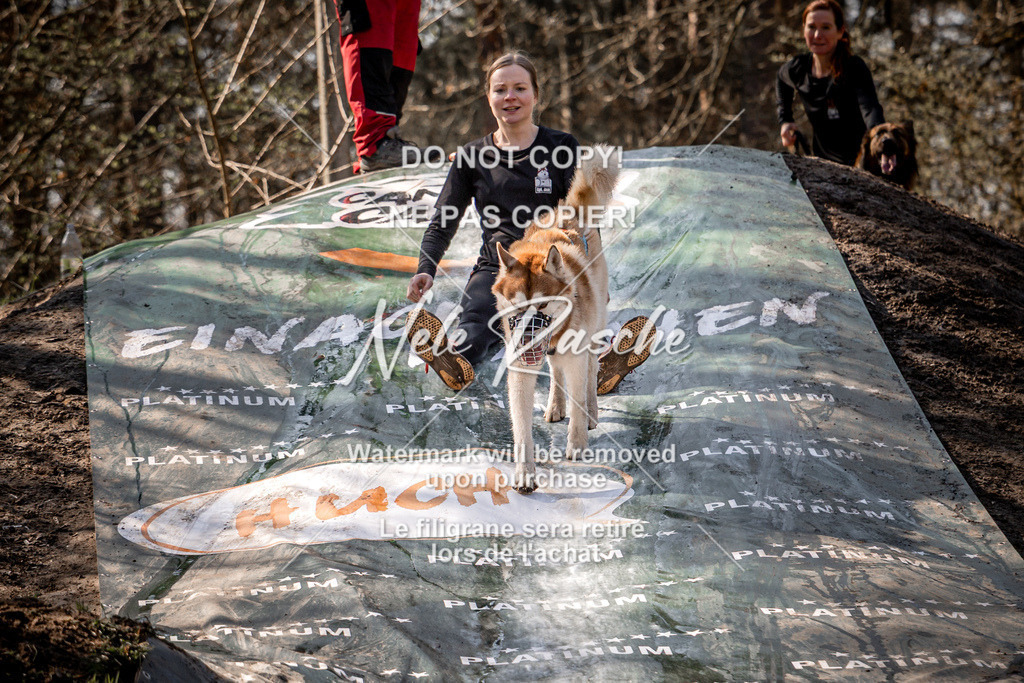 nelerasche_Hulsbeek_So1300-1330_107 | nelerasche