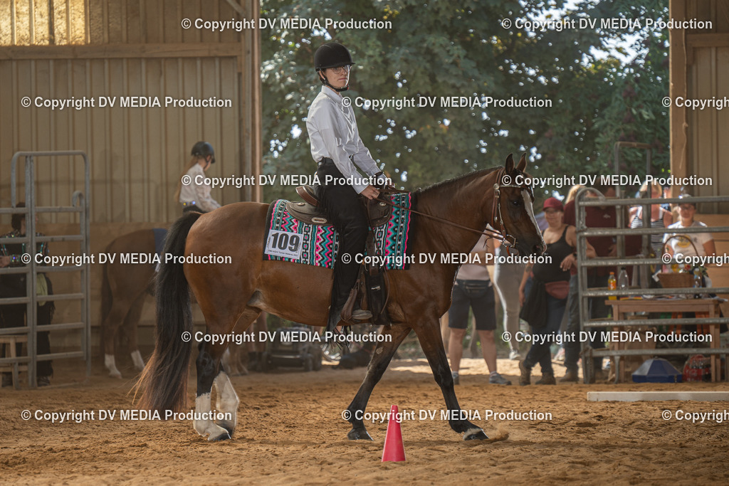 NID03008 | dv-media-shop - Realisiert mit Pictrs.com