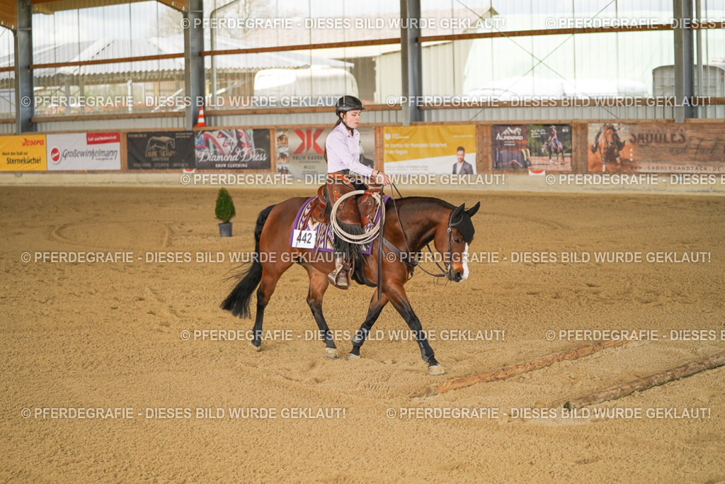 DSC06132 | Pferdegrafie