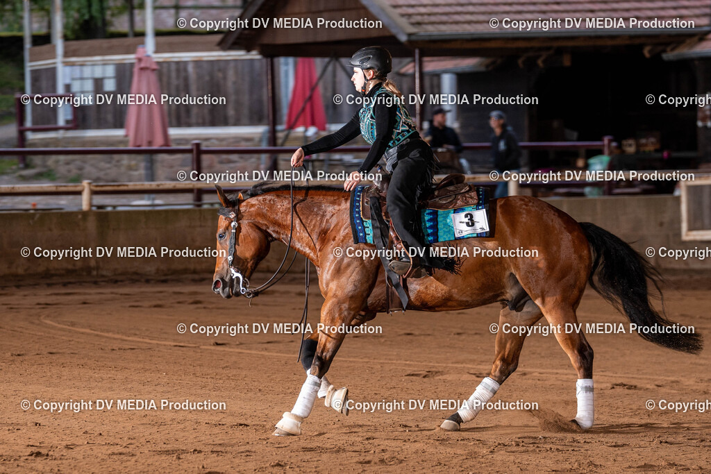 Erbach Tag 2-1253 | dv-media-shop - Realisiert mit Pictrs.com