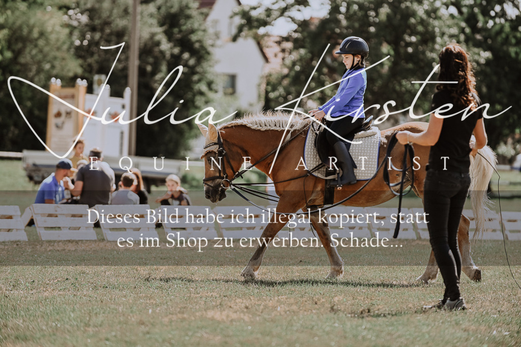 DSC_7497 | Pferde- und Turnierfotografie in Westsachsen. Pferdeportraits, Auftragszeichnungen und intuitive Kunst.