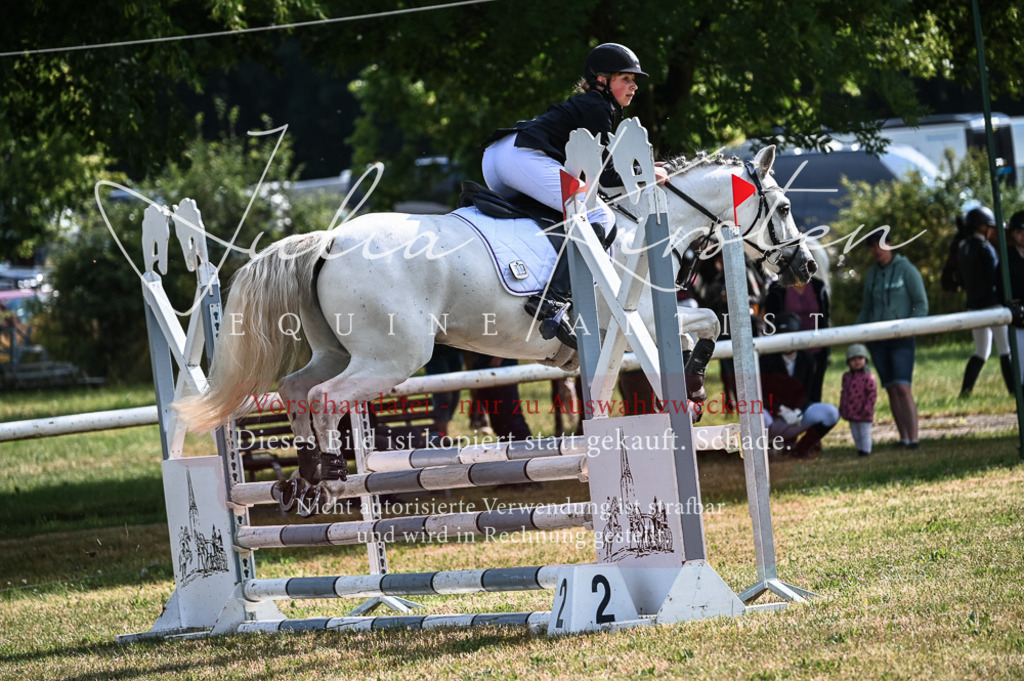 DSC_7723 | Pferde- und Turnierfotografie in Westsachsen. Pferdeportraits, Auftragszeichnungen und intuitive Kunst.