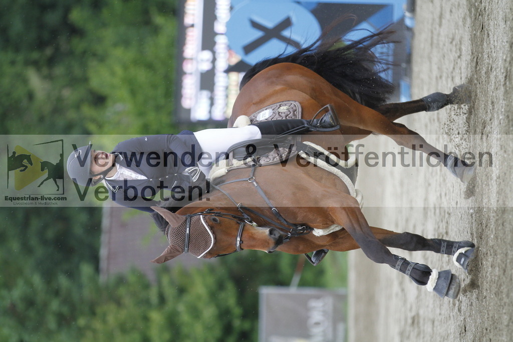 _MG_6584 | equestrian-live-com