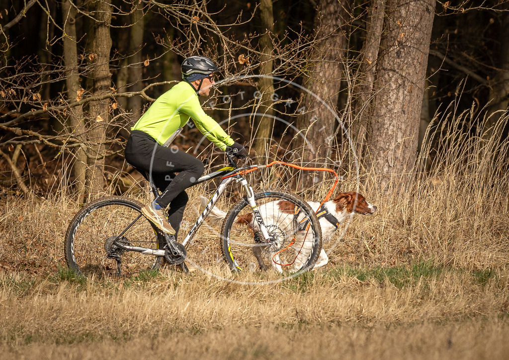 DV3A4613 | Hundefotografie, Tierfotograf, Pfotenfotografie, Fotoshooting Hund, Hunde Portrait, Hundesport, Hundeportraits, Heideshooting, Hunde, Sportfotograf, Hundefotograf, Turnierhundsport, THS,  - Realisiert mit Pictrs.com