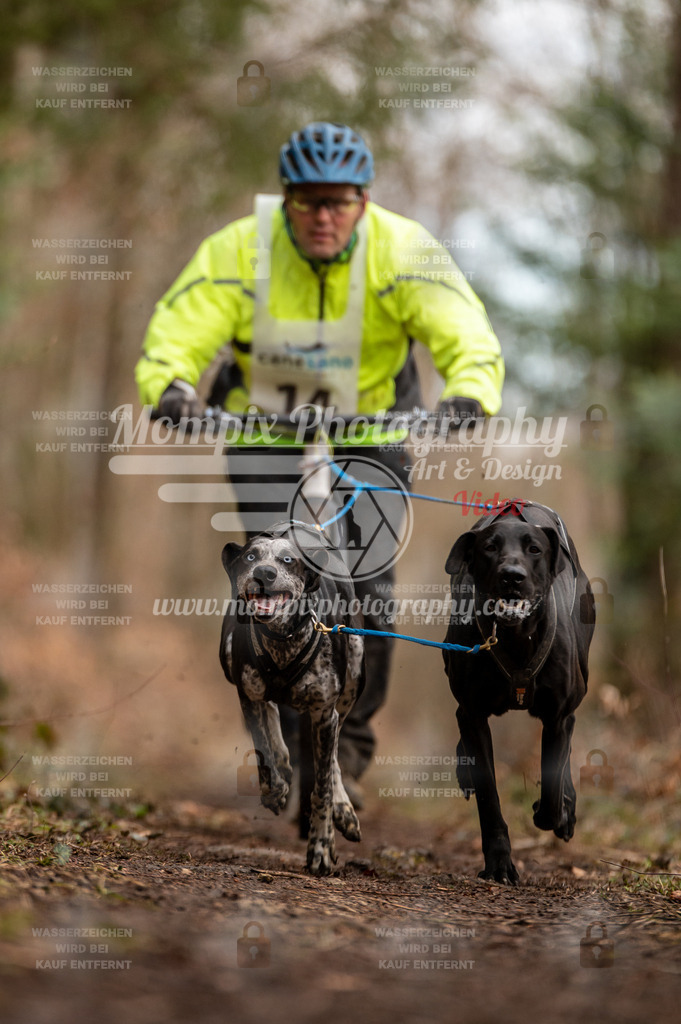 Reiat2023_SAM_DS2_8km_2H-12 | mompixphotography