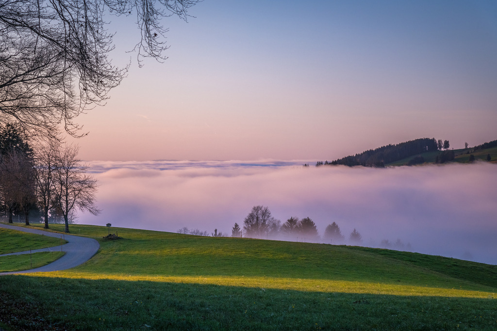 An der Nebelgrenze | Ausblick bei St. Märgen auf das Nebelmeer - Realisiert mit Pictrs.com