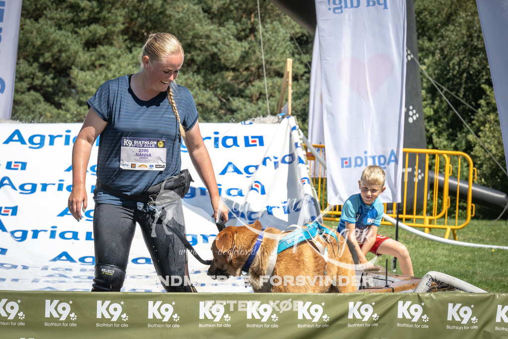 1317_ZZ99715 | kk-dogfotos