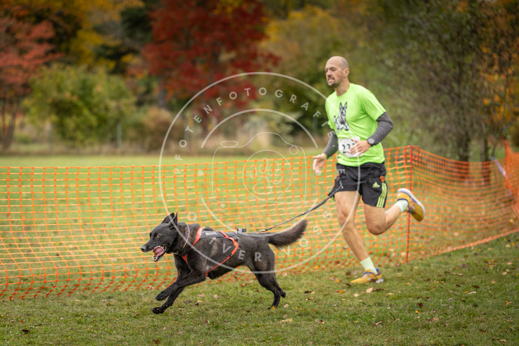 Pfotenfotografie_DV3A4416 | Hundefotografie, Tierfotograf, Pfotenfotografie, Fotoshooting Hund, Hunde Portrait, Hundesport, Hundeportraits, Heideshooting, Hunde, Sportfotograf, Hundefotograf, Turnierhundsport, THS,  - Realisiert mit Pictrs.com