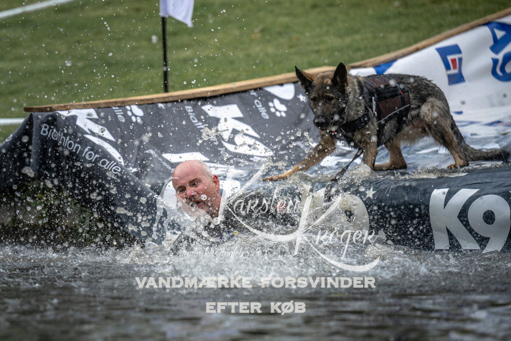 1538_ZZ95949 | kk-dogfotos