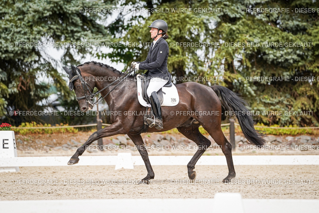 DSC06881 | Pferdegrafie