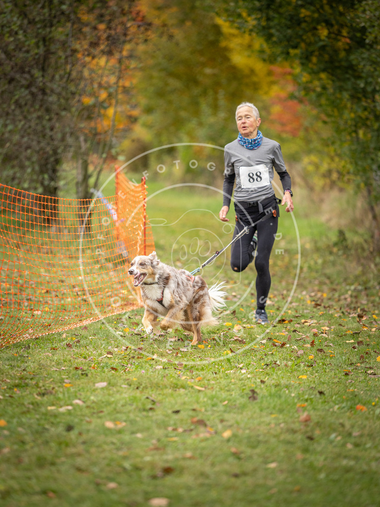 Pfotenfotografie_DV3A3216 | Hundefotografie, Tierfotograf, Pfotenfotografie, Fotoshooting Hund, Hunde Portrait, Hundesport, Hundeportraits, Heideshooting, Hunde, Sportfotograf, Hundefotograf, Turnierhundsport, THS,  - Realisiert mit Pictrs.com