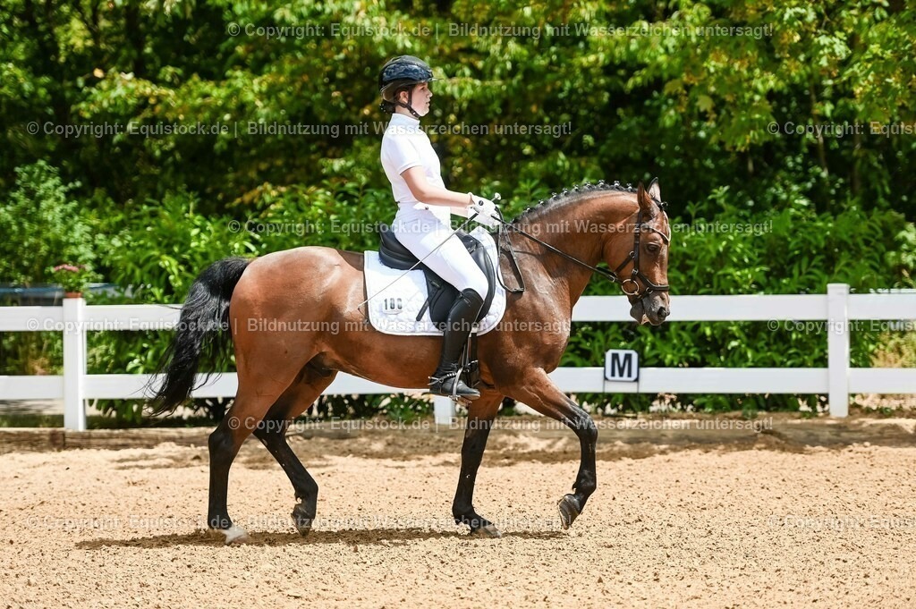 20230715_05_Dressurprüfung Kl.A++_0022 | equistock