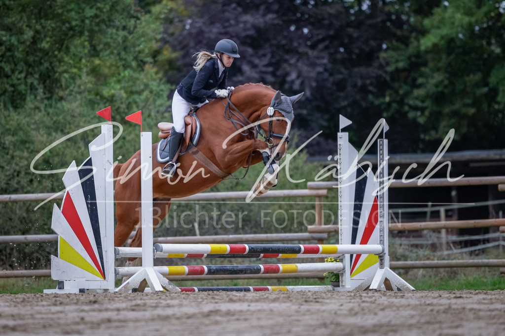 20251012-_3LI2711 | Tierfotografie Pferde, Hunde, Katzen, Haustiere.
Turnierfotografie Reitturniere, Reiten, Springreiten, Dressur in Hanau, dem Main-Kinzig-Kreis und dem Rhein-Main- Gebiet um Frankfurt
