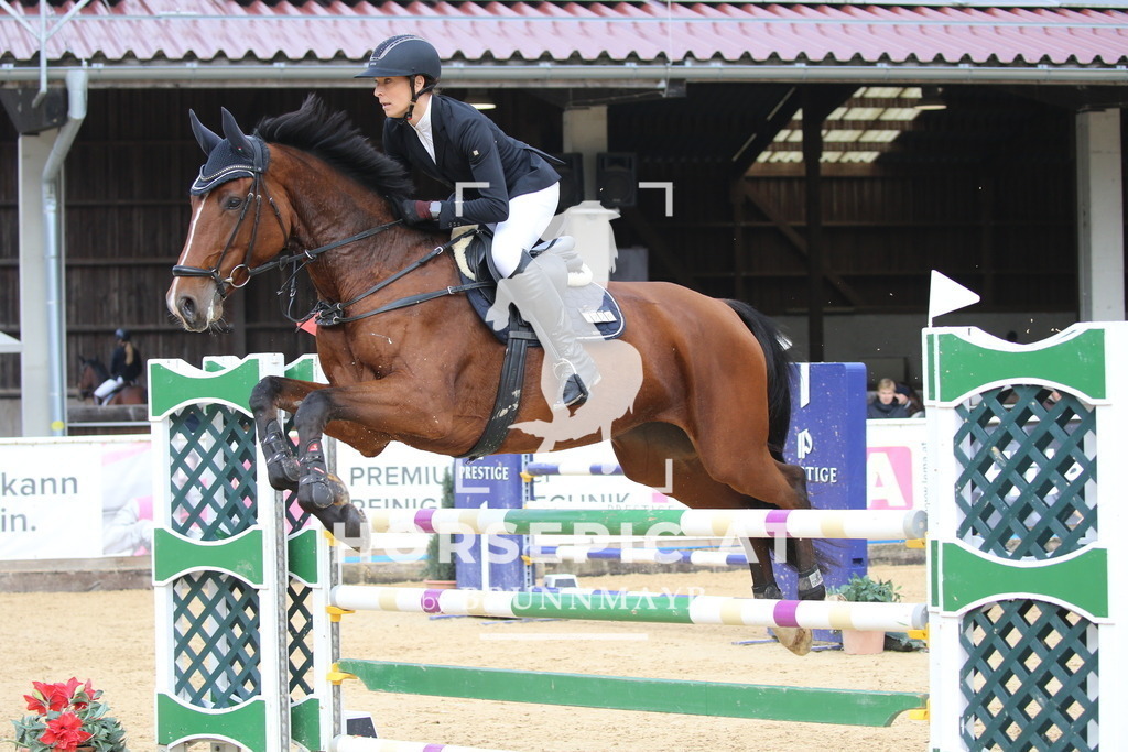 DL2Q0340 | Willkommen bei Brunnmayr - Design & Fotografie – Ihrem Spezialisten für Reitturniere und Pferdeveranstaltungen in Oberösterreich, Salzburg und Bayern! Seit über 17 Jahren sind wir leidenschaftlich dabei.