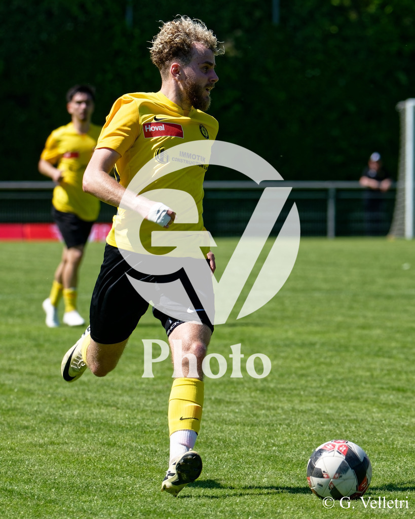 DSC_7847 | Velletri Photo