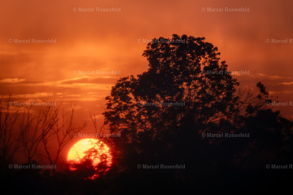 _DSC5893 | foto-rosenfeld