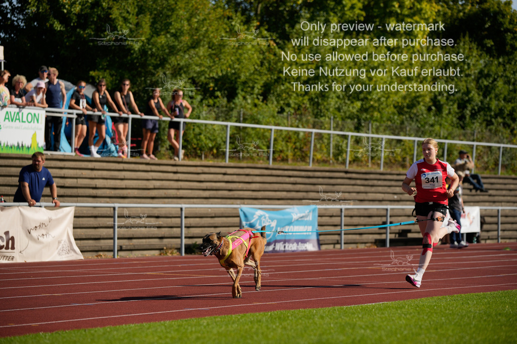 Sonntag_Staffel (20 von 336) | stephaniefillaphotographie - Realisiert mit Pictrs.com