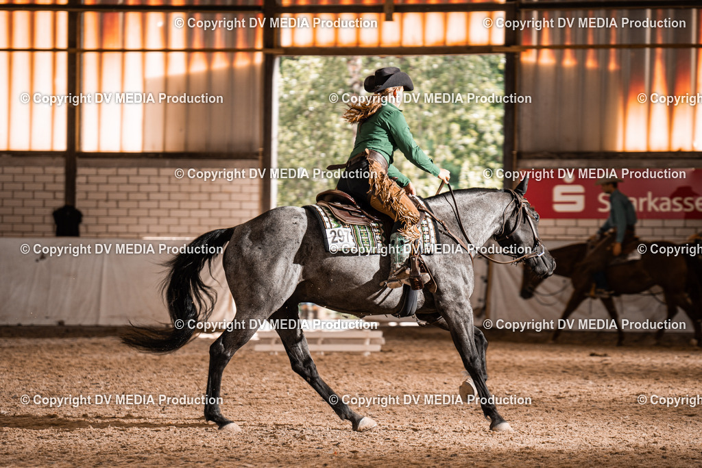 ZH300353 | dv-media-shop - Realisiert mit Pictrs.com