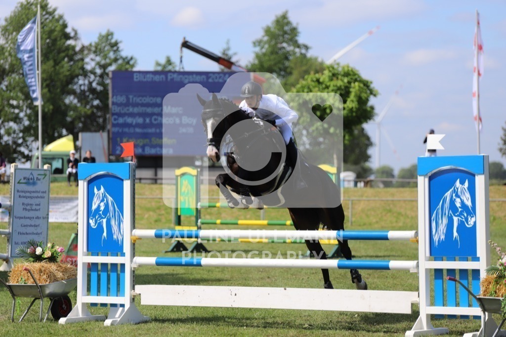 IMG_7127 | Pauline Ullmann Photography - Realisiert mit Pictrs.com