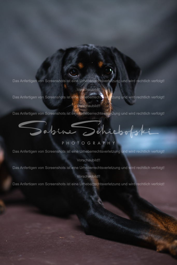 DSCF4434 | People- und Tierfotografie, Imageaufnahmen, Veranstaltungsfotografie und Wandbilder aus der Natur ★ Made in Germany ✔️ Druck + Downloads ✔️ Naturfotografie in Top Qualität ★ schneller Versand, weltweite Lieferung! - Realisiert mit Pictrs.com