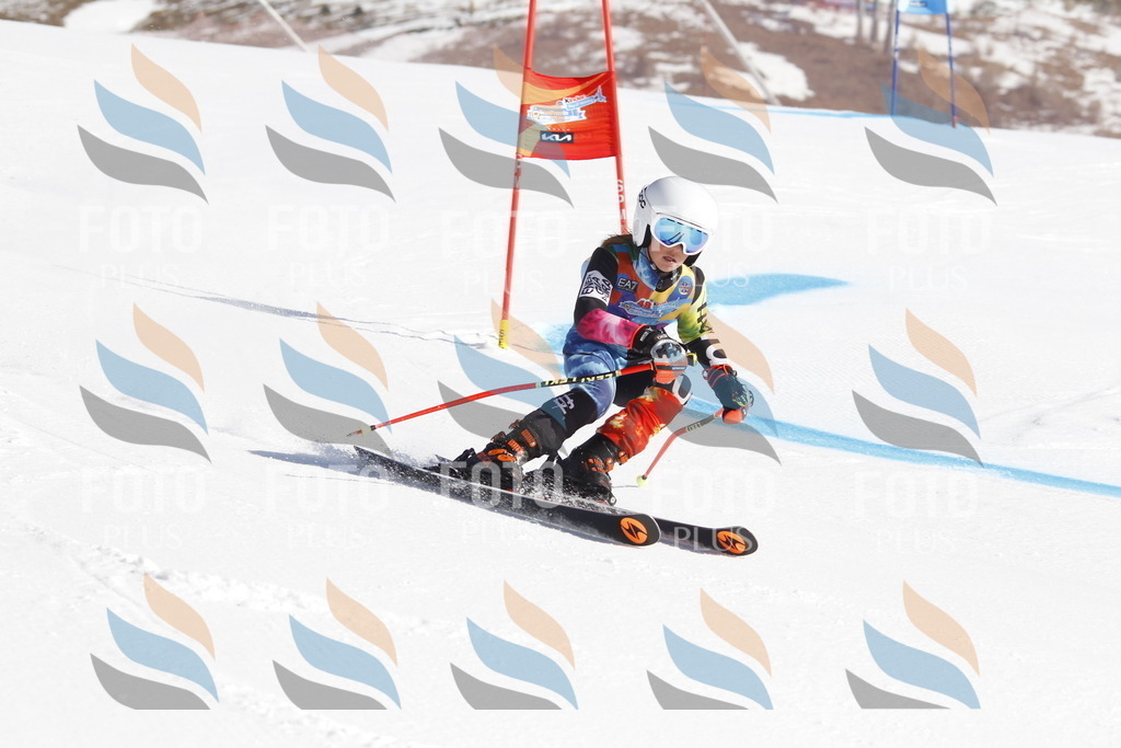 _U3G8614 | holidayphoto