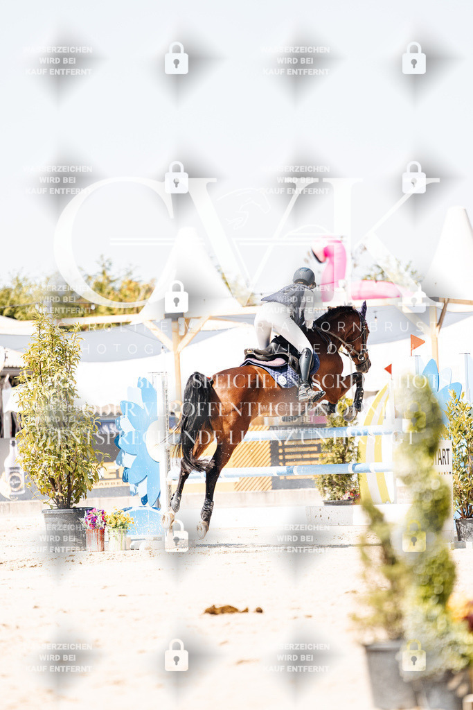 CK909899 | Turnierfotografie Pferdefotografie Trier Rheinland-Pfalz Pferdesport Reitsport Tierfotografie Sportfotografie Pferdevideo Pferdevideografie Equestrianvideography equestrianphotography  - Realisiert mit Pictrs.com
